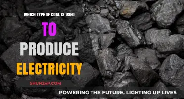 Understanding the Role of Bituminous Coal in Electricity Generation