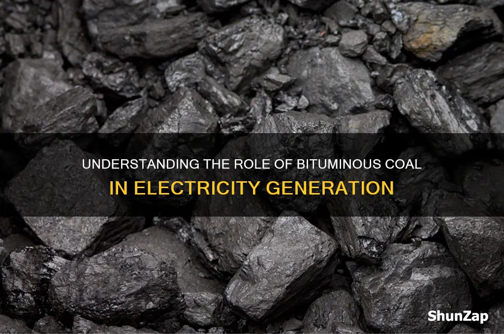 which type of coal is used to produce electricity