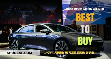 Choosing the Perfect Electric Car: Top Models and Features to Consider