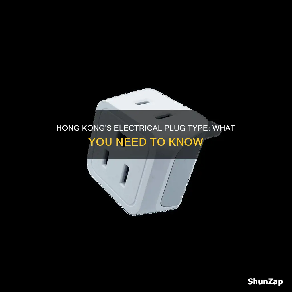 which type of electric plug hong kong
