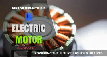 Permanent Magnets vs. Electromagnets: Powering Electric Motors Efficiently