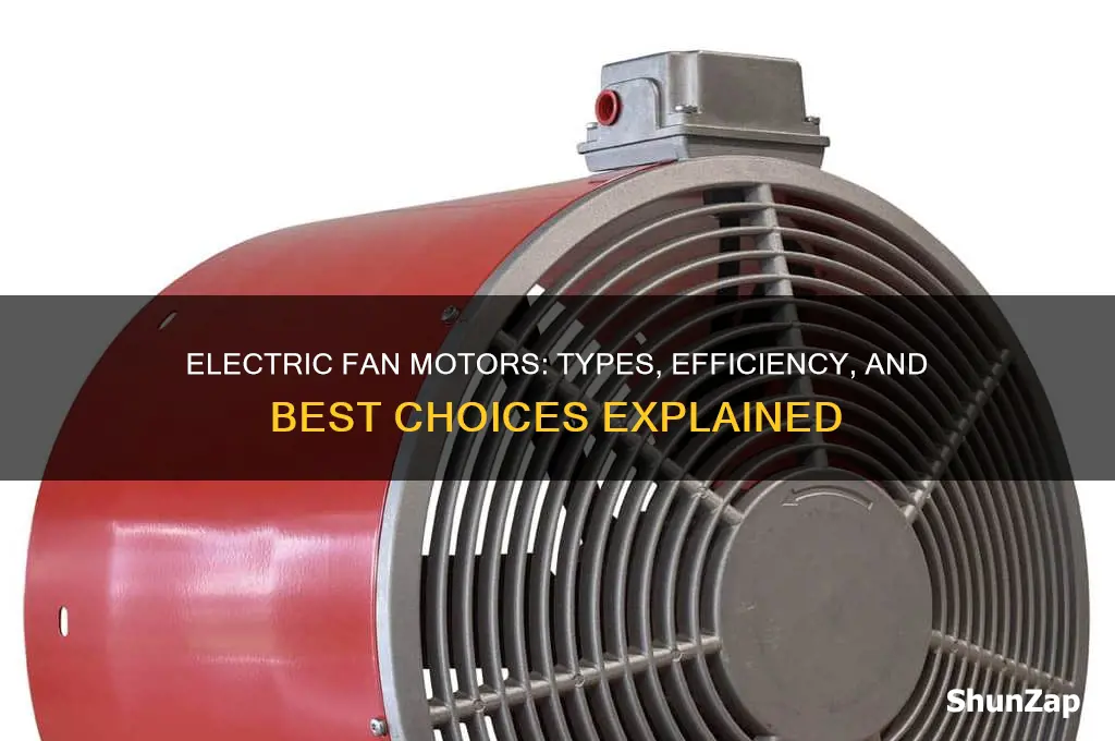 which type of motor is used in electric fan