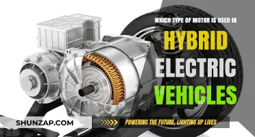 Hybrid Electric Vehicles: Exploring the Motor Types Powering Green Mobility