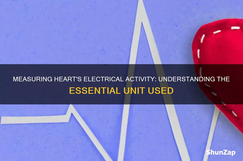 which unit is used to measure the heart