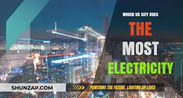America's Power Hungry: Which U.S. City Consumes the Most Electricity?