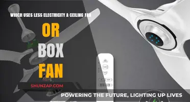 Ceiling Fan vs. Box Fan: Which Saves More Energy?