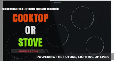 Portable Induction Cooktop vs. Stove: Which Saves More Energy?