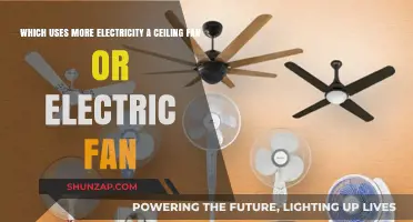 Ceiling Fan vs Electric Fan: Which Consumes More Electricity?
