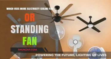 Ceiling Fan vs. Standing Fan: Which Consumes More Electricity?