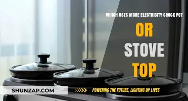 Crock Pot vs. Stove Top: Which Appliance Consumes More Electricity?