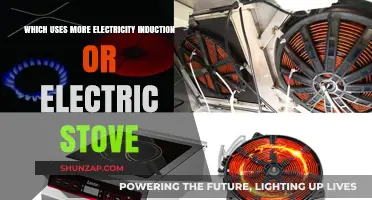 Induction vs Electric Stove: Which Consumes More Electricity?