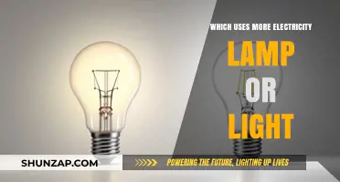 Lamp vs. Light: Which Consumes More Electricity in Your Home?