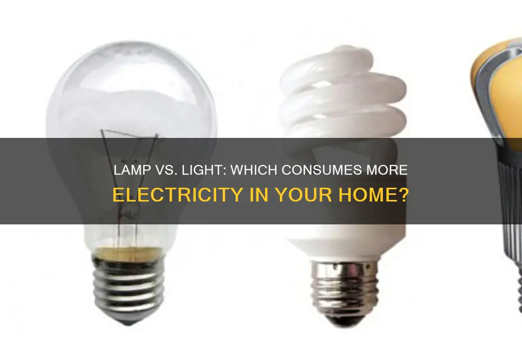 which uses more electricity lamp or light