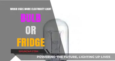 Light Bulb vs. Fridge: Which Appliance Consumes More Electricity?