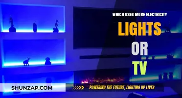 Lights vs. TV: Which Device Consumes More Electricity in Your Home?