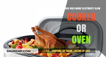 Slow Cooker vs. Oven: Which Appliance Consumes More Electricity?