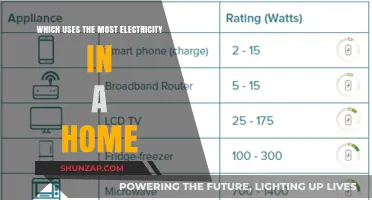 Home Energy Hogs: What Uses the Most Electricity in Your House?