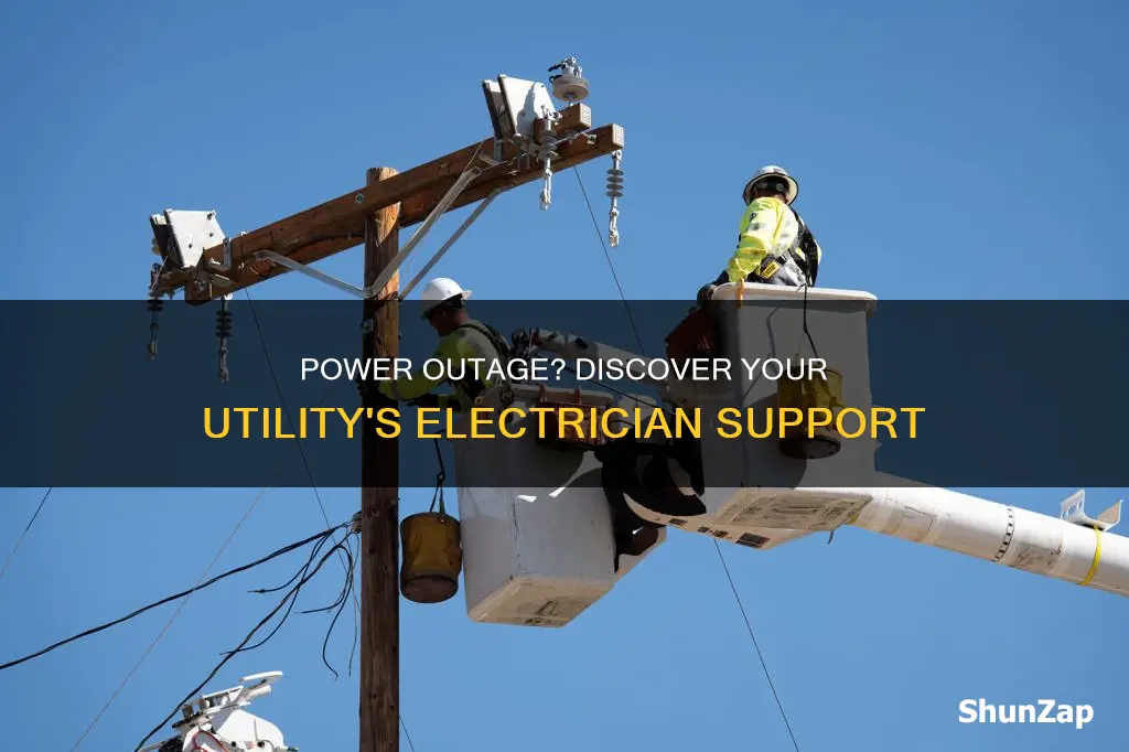 which utility companies have electricians when electricity goes out