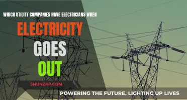 Electricians: Who to Call When the Power Goes Out?