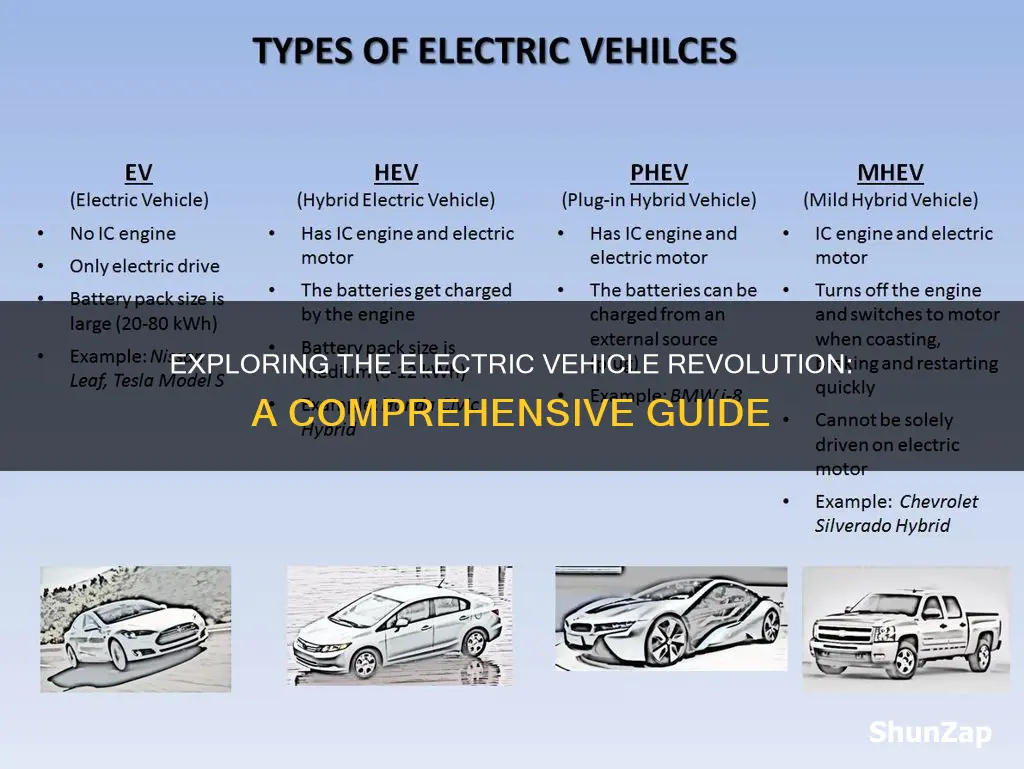 which vehicles are electric