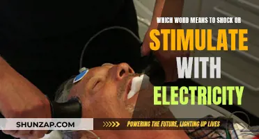 Electric Shock Therapy: Stimulating the Mind With Voltage