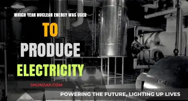 The Dawn of Nuclear Power: First Electricity Generation Year