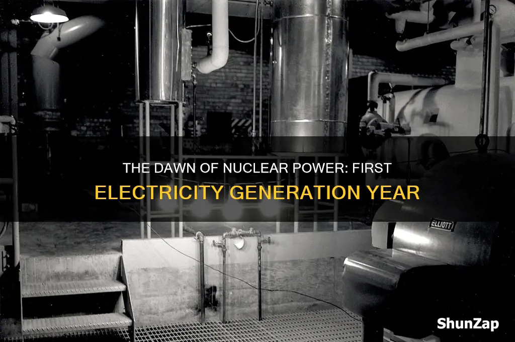 which year nuclear energy was used to produce electricity