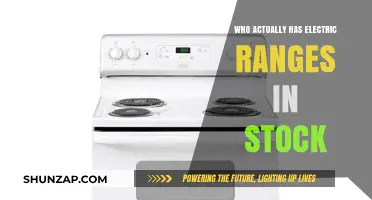 Electric Ranges: Who Has Them in Stock?