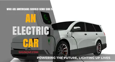 Should Americans Get $50,000 Incentives for Electric Car Purchases?