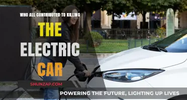 The Downfall of Electric Cars: Key Players and Their Roles