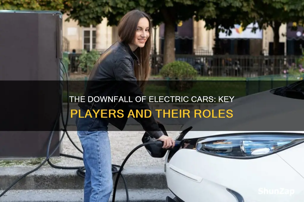 who all contributed to killing the electric car