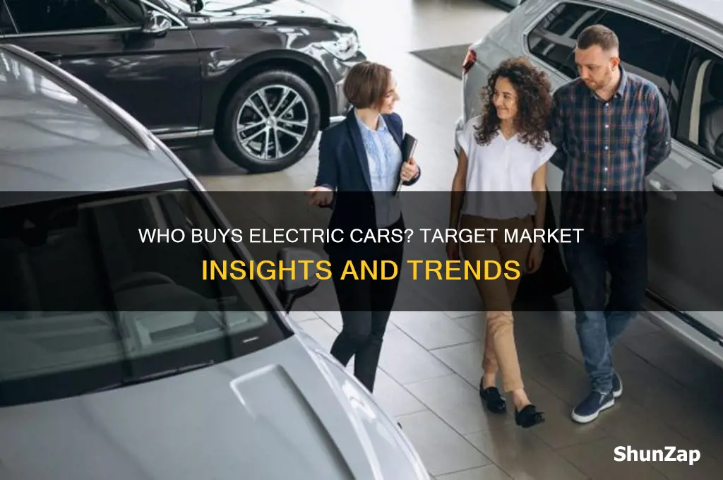 who are all electric cars marketed towards