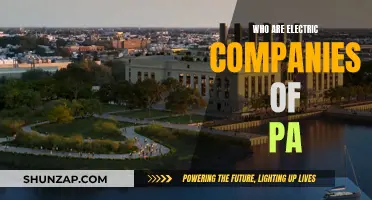 Pennsylvania's Top Electric Companies: Who Are They?