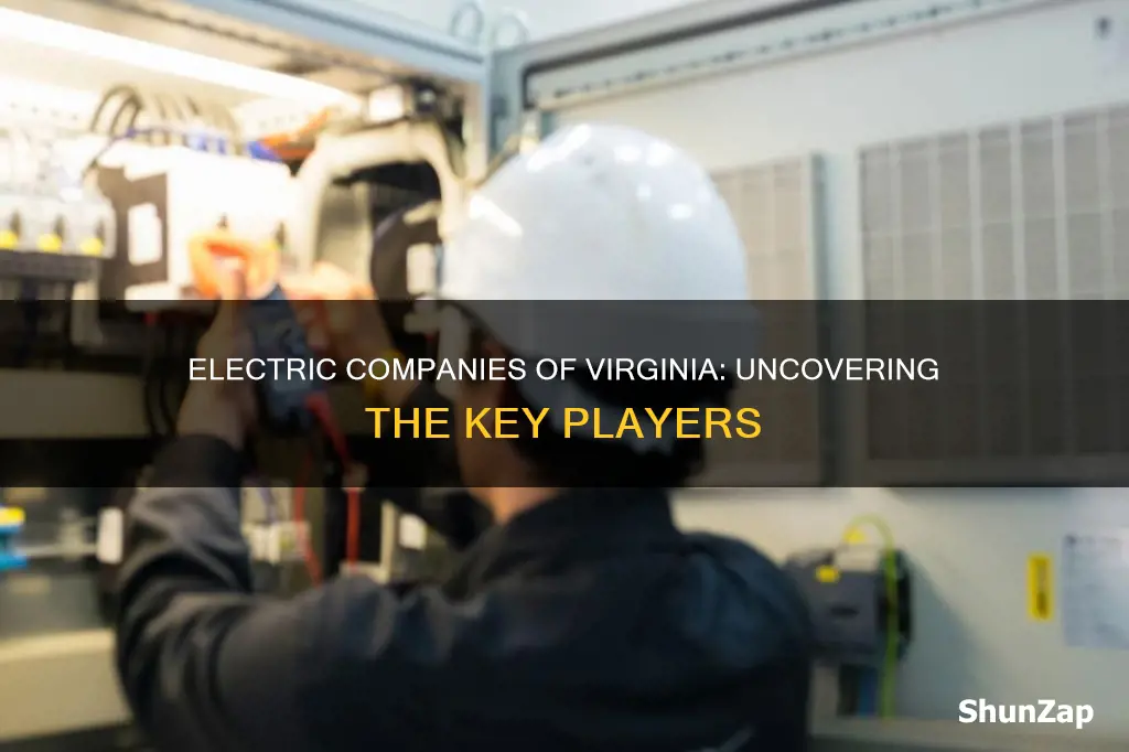 who are electric companies ofvpa
