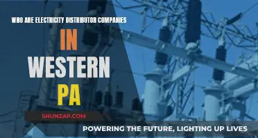 Electricity Distributor Companies in Western PA: Who Are They?