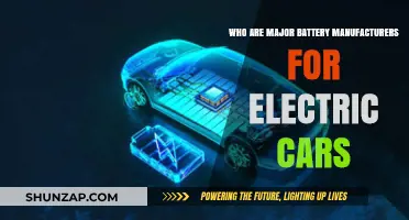Top Electric Car Battery Manufacturers Powering the EV Revolution
