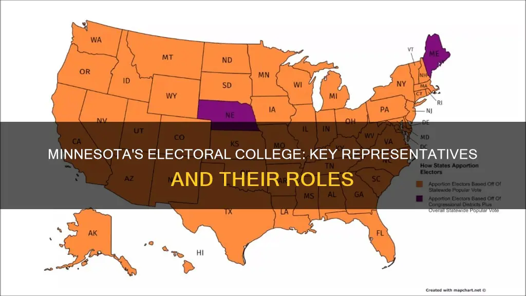 who are minnesota