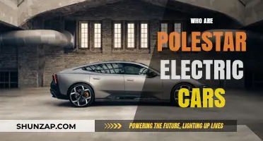 Polestar Electric Cars: Unveiling the Sustainable Luxury Automotive Brand