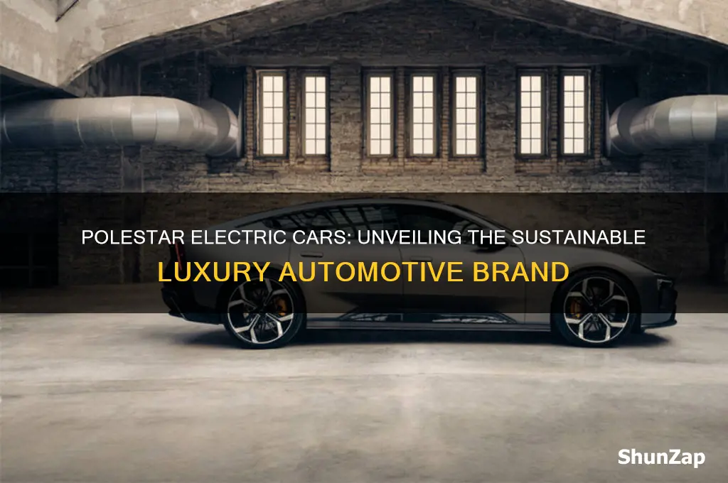 who are polestar electric cars