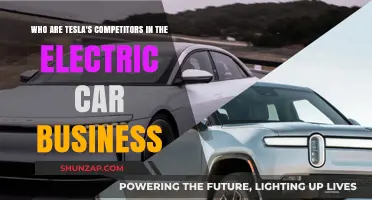 Tesla's Electric Car Rivals: Who's Competing in the EV Market?