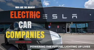 Leading Electric Car Companies Shaping the Future of Sustainable Transportation