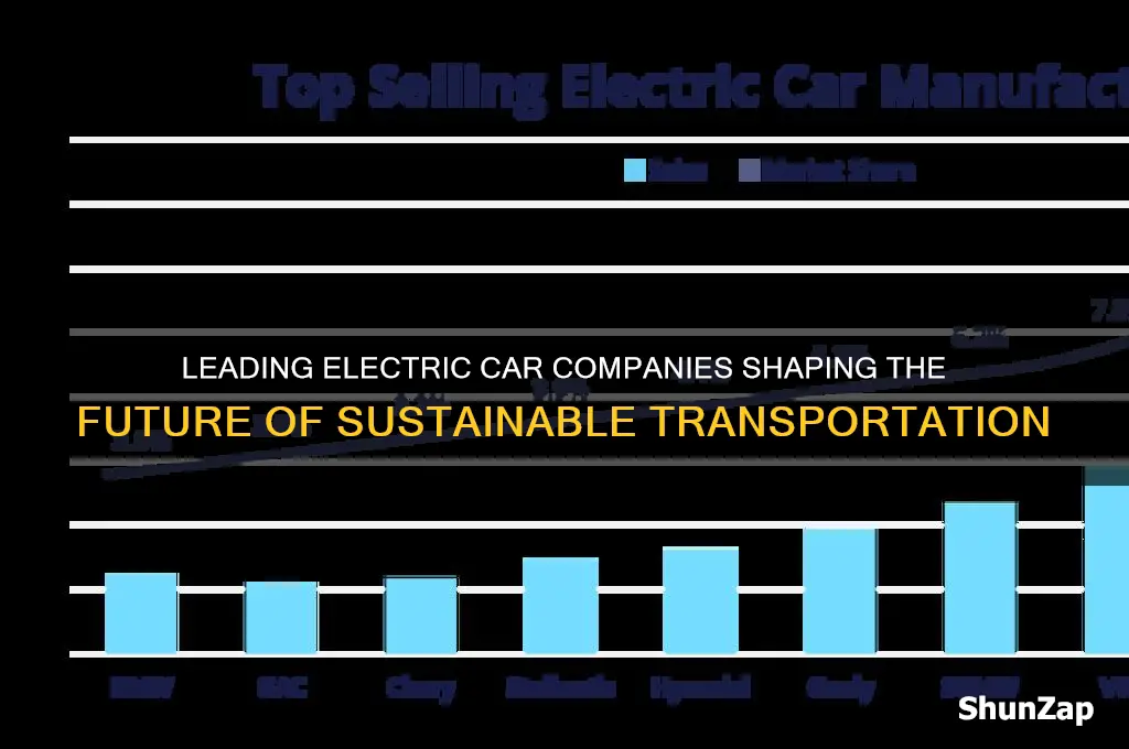 who are the biggest electric car companies