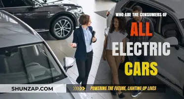 Who Buys Electric Cars? Exploring the Diverse Consumer Base