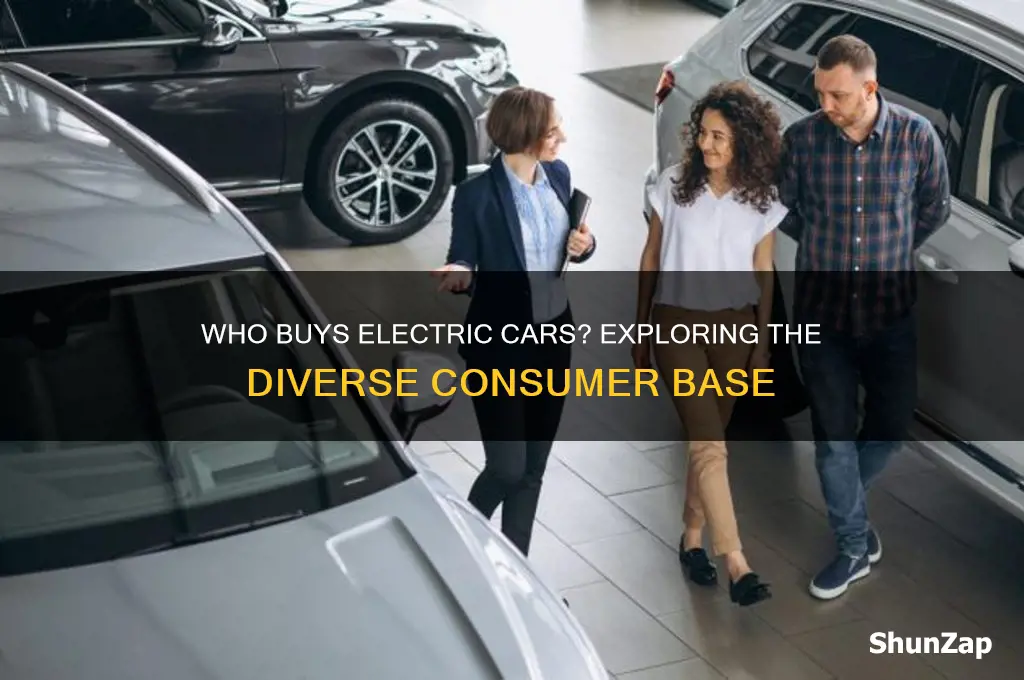 who are the consumers of all electric cars