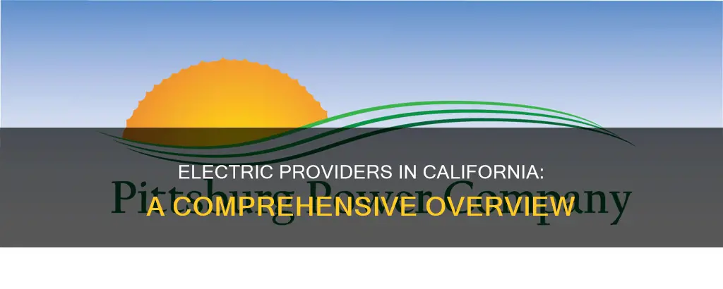 who are the electric providers in california