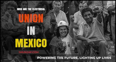 Electrical Union in Mexico: Who Are They?