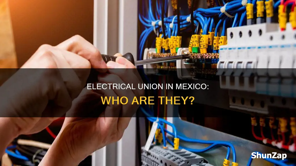 who are the electrical union in mexico