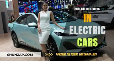 Top Electric Car Leaders Shaping the Future of Sustainable Transportation