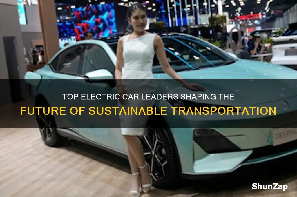 who are the leaders in electric cars