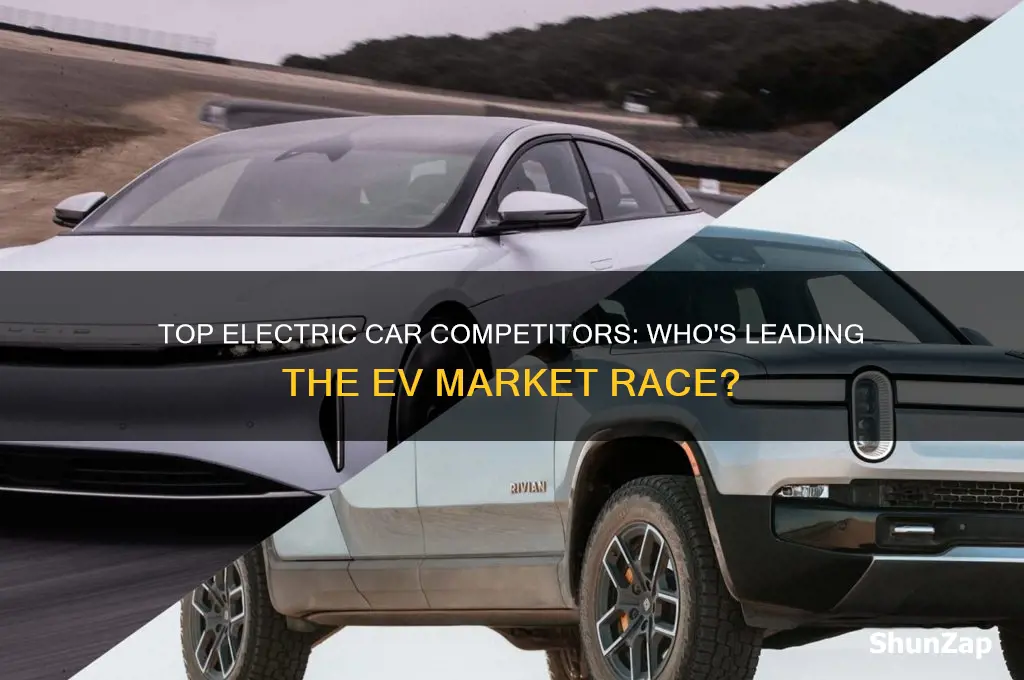 who are the main competitors in the electric car business